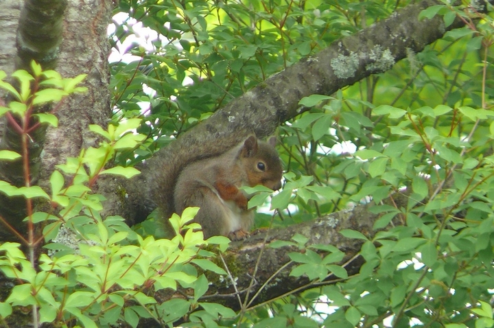 P1420556.JPG