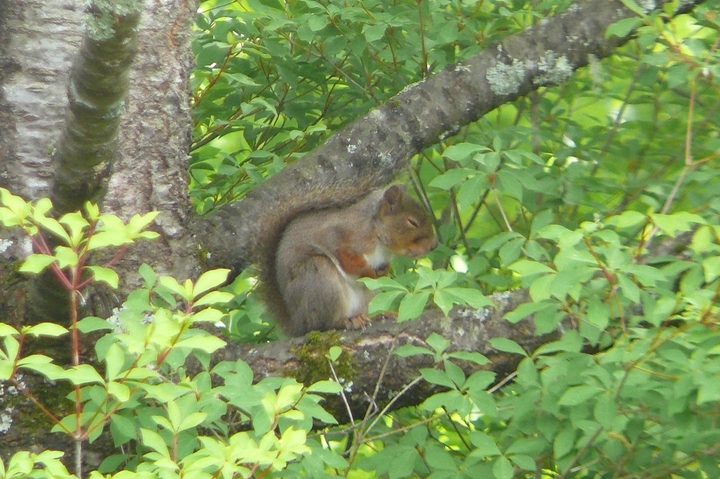 P1420558.JPG