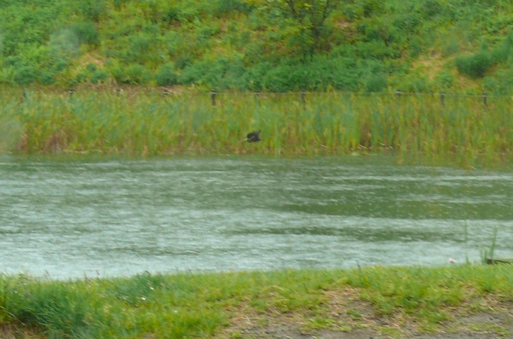 P1420572.JPG