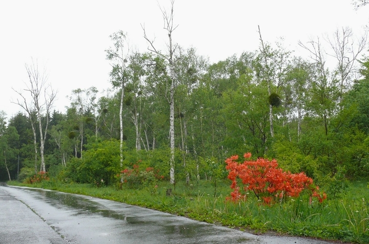 P1420583.JPG