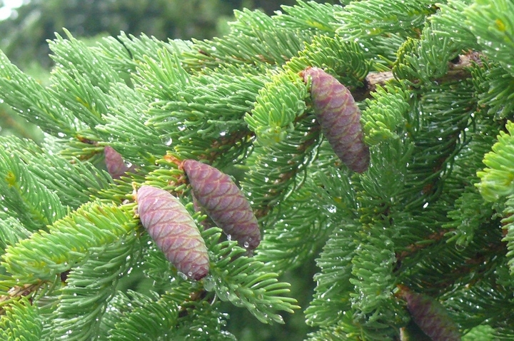 P1420589.JPG