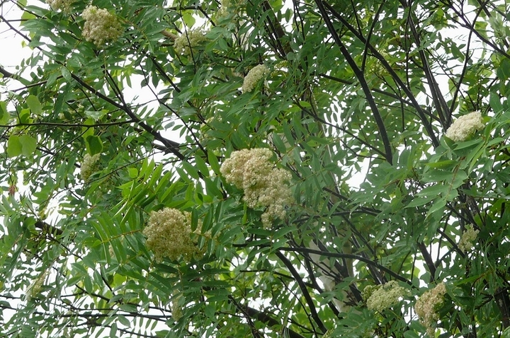 P1420610.JPG