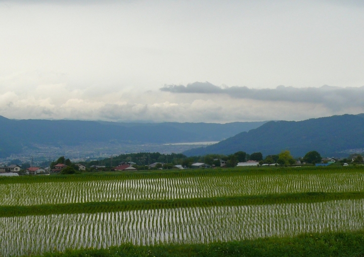 P1420700.JPG