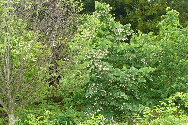 P1420704.JPG