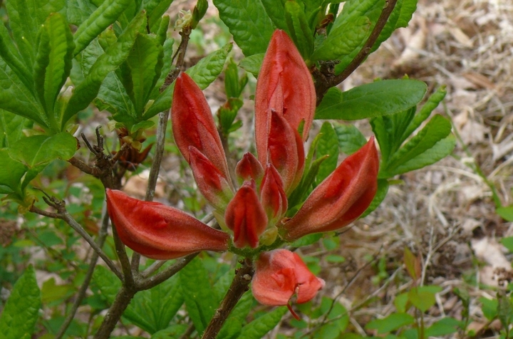 P1420197.JPG