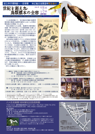 野鳥No2八ヶ岳美術館チラシ裏.jpg