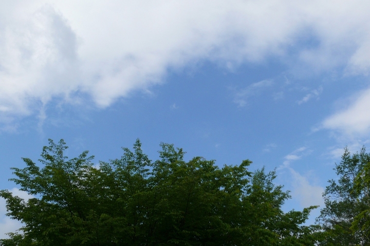 P1420741.JPG