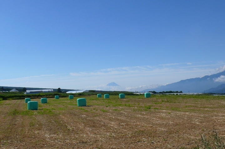 P1420899.JPG
