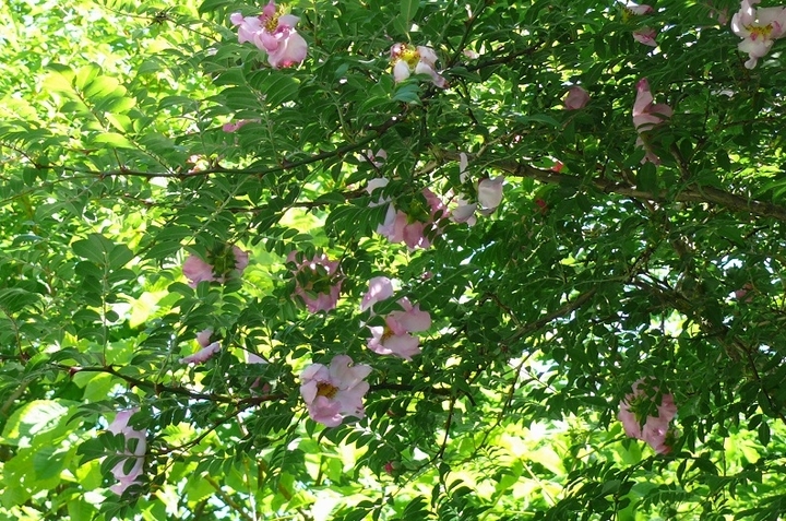P1420907.JPG