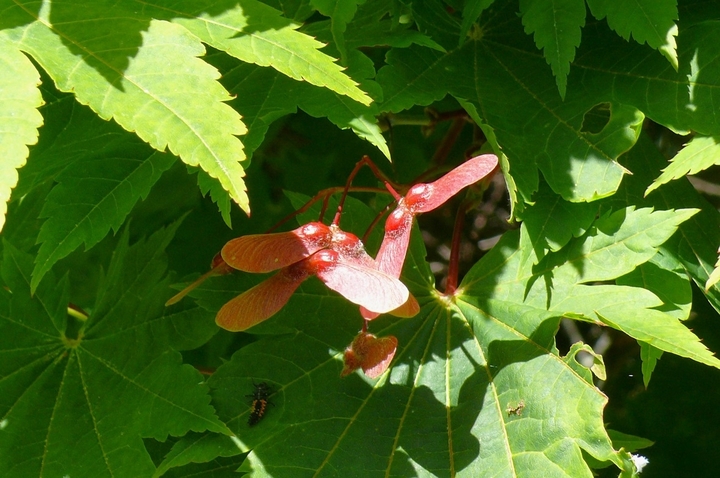 P1420933.JPG