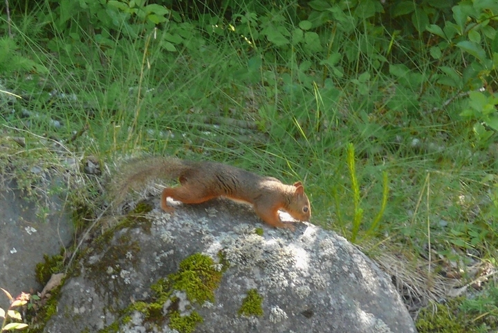 P1430005.JPG