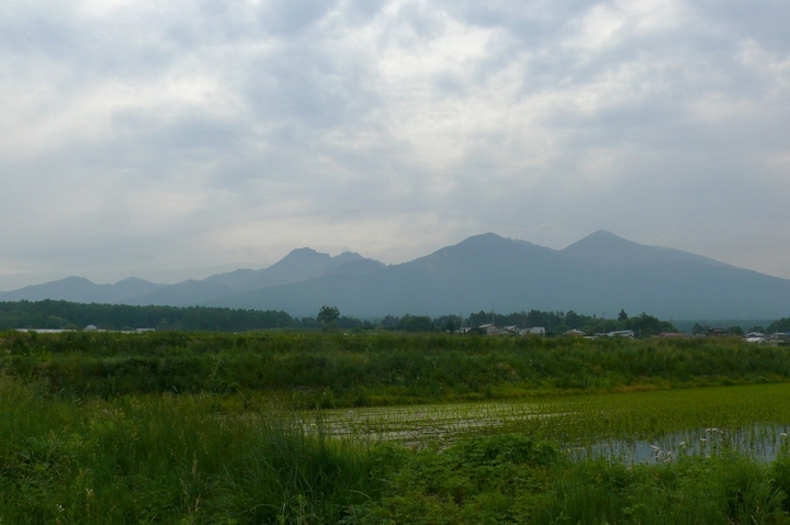 P1430008.JPG