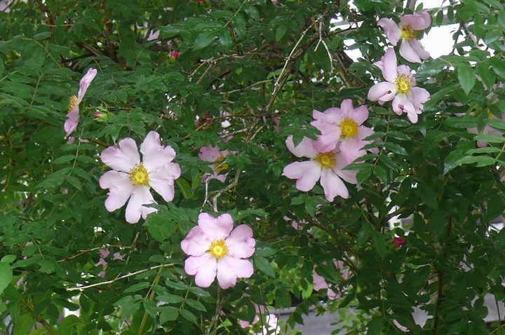 P1430019.JPG