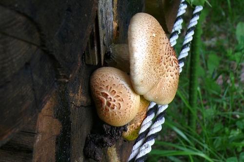 P1430039.JPG