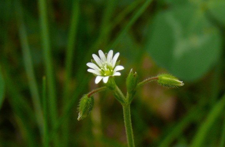 P1430041.JPG