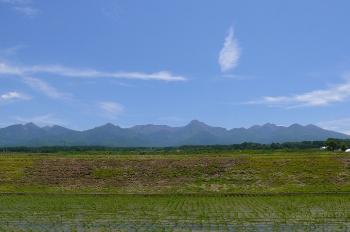 P1430067.JPG