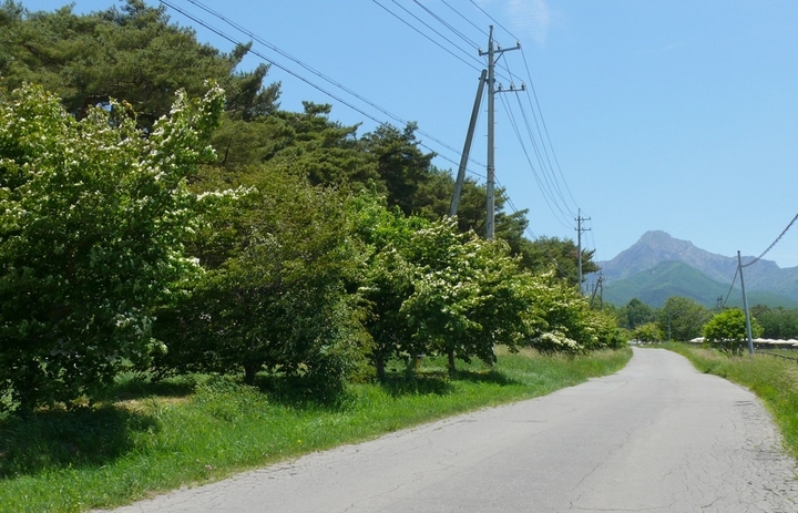 P1430071.JPG