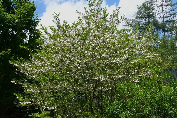 P1430141.JPG