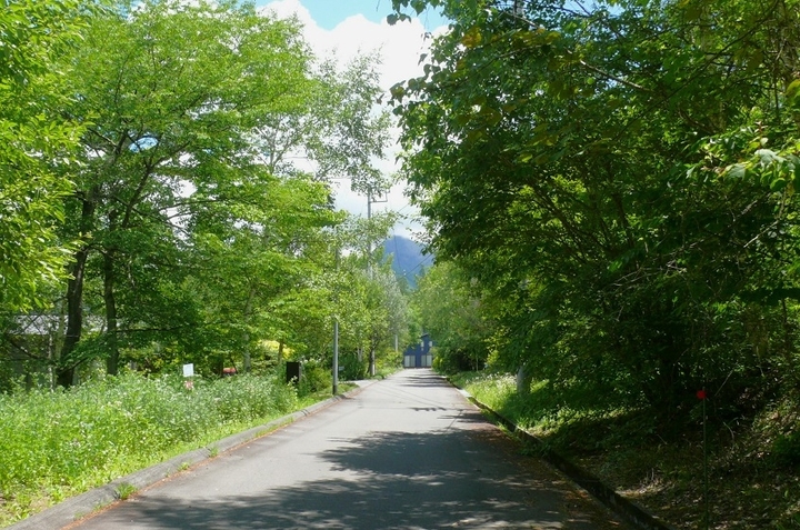 P1430142.JPG