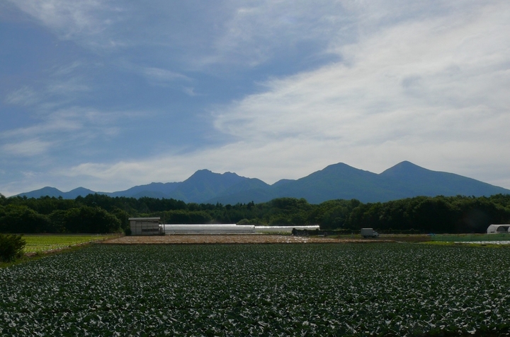 P1430160.JPG