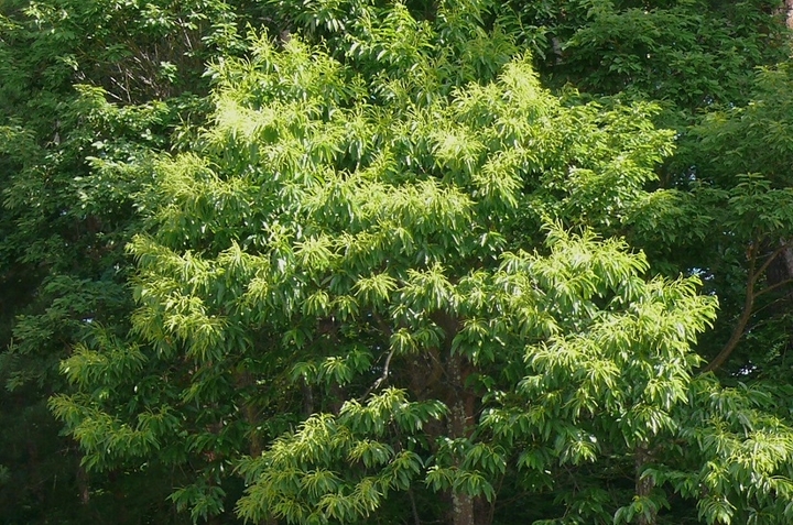 P1430163.JPG