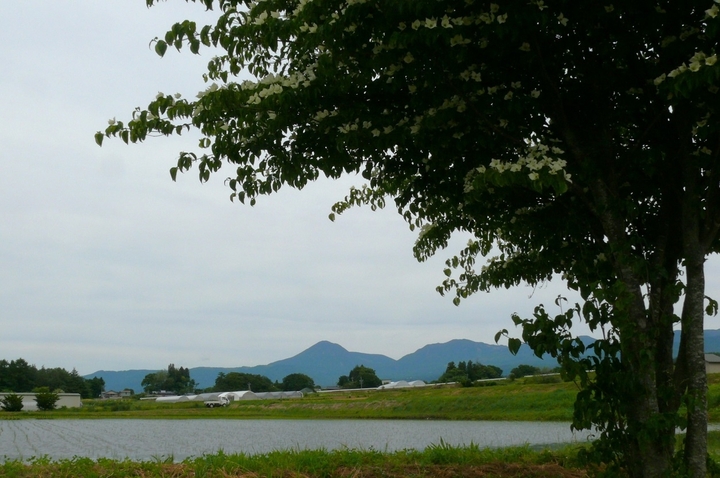 P1430191.JPG