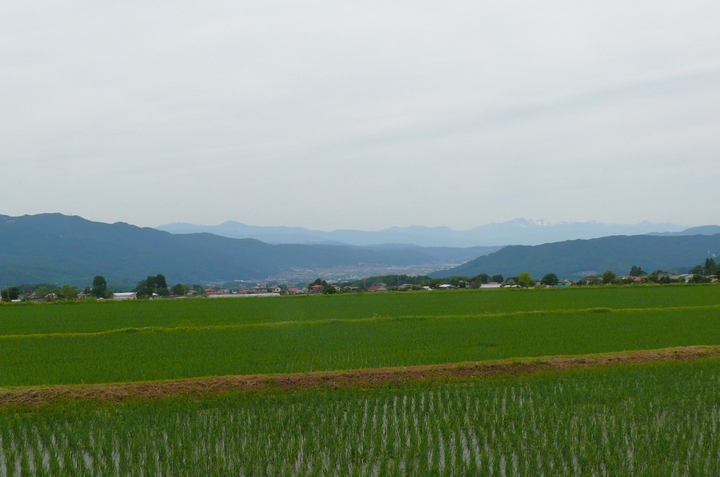 P1430195.JPG