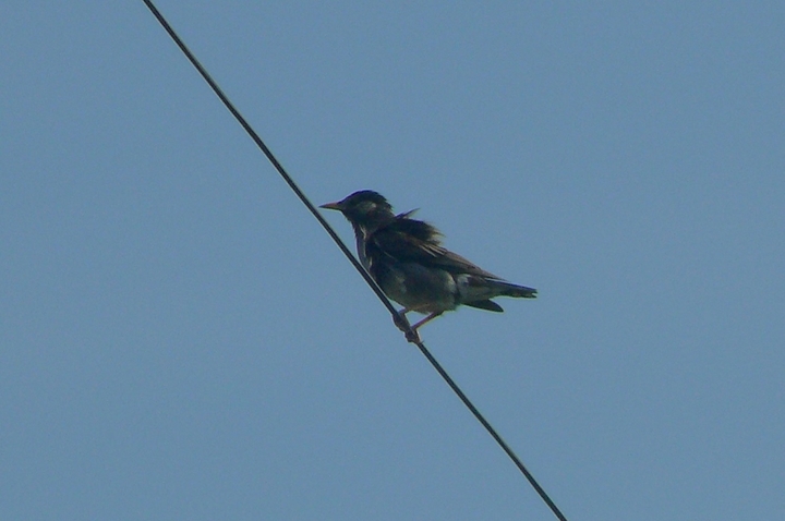 P1430216.JPG