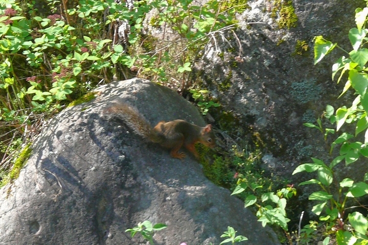 P1430224.JPG