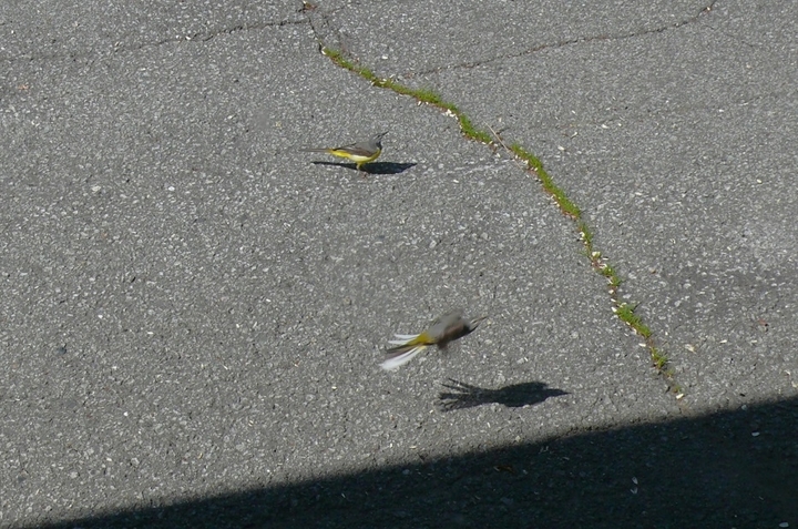 P1430239.JPG