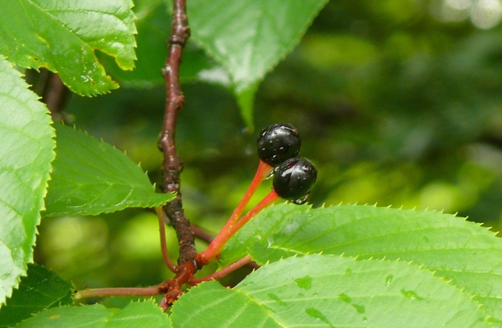 P1430315.JPG