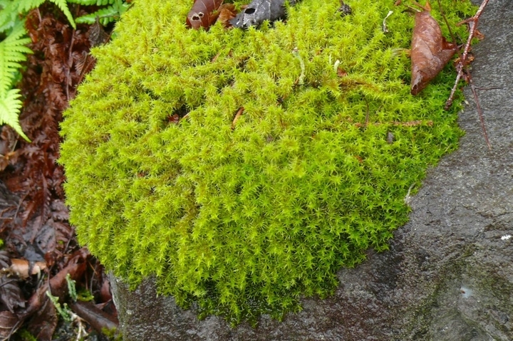 P1430318.JPG