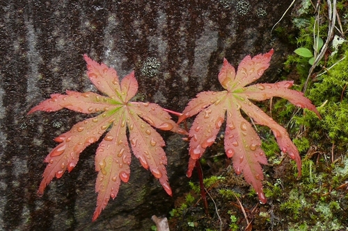 P1430319.JPG