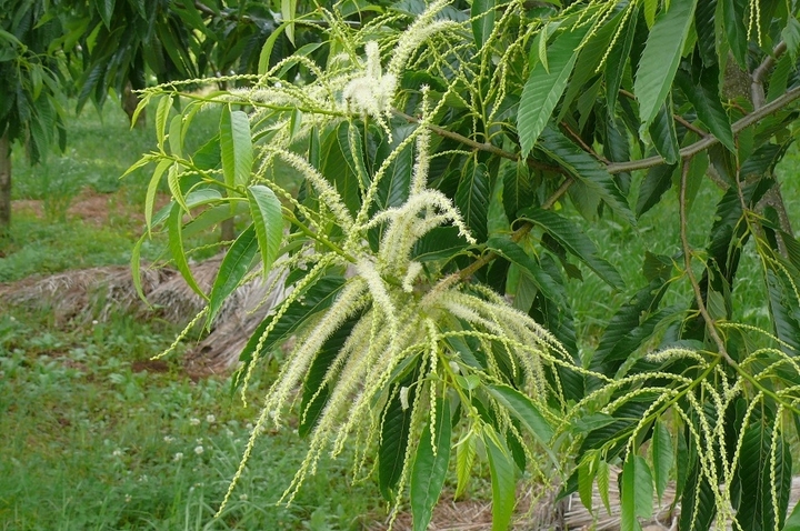 P1430345.JPG