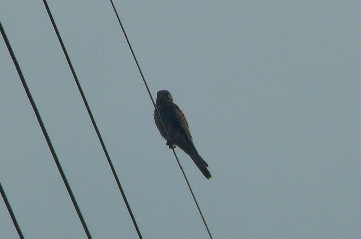P1430351.JPG