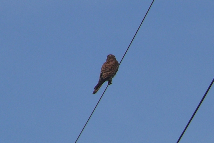 P1430353.JPG