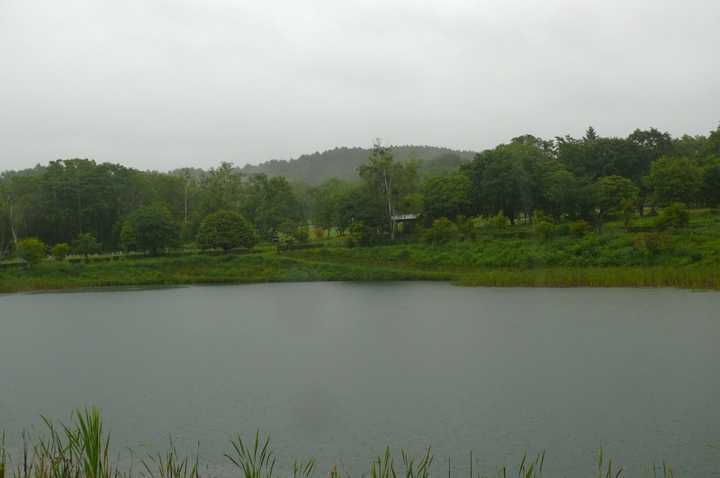 P1430417.JPG