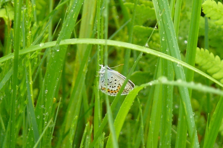 P1430434.JPG