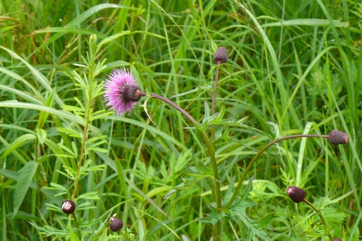 P1430436.JPG