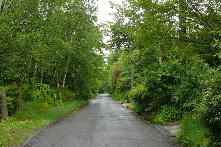 P1430441.JPG