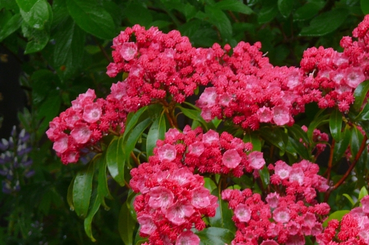 P1430443.JPG