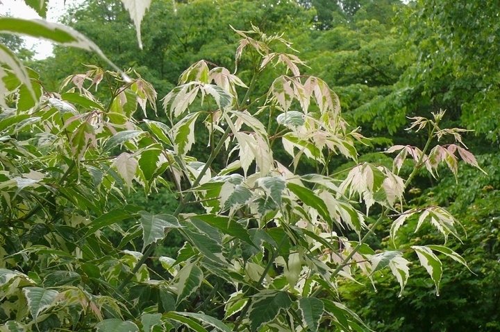 P1430445.JPG