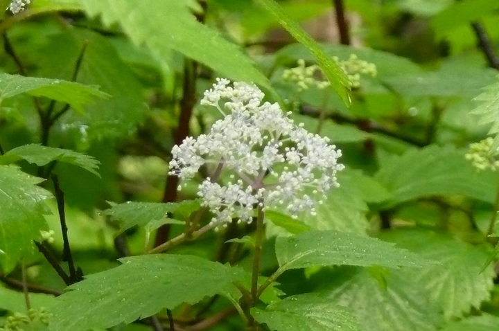 P1430448.JPG