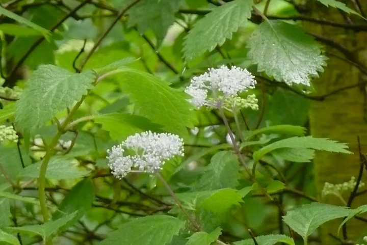 P1430449.JPG