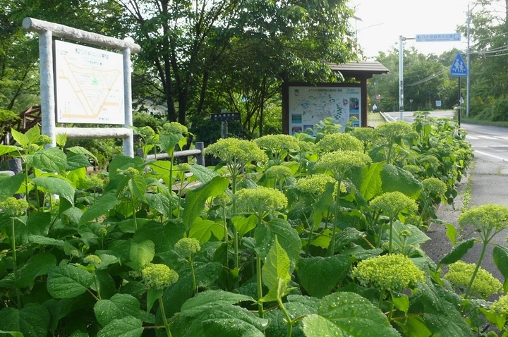 P1430487.JPG