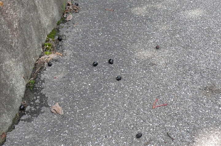 P1430543.JPG