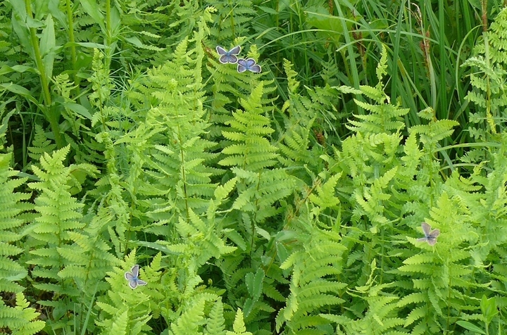 P1430580.JPG