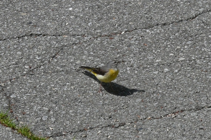 P1430587.JPG