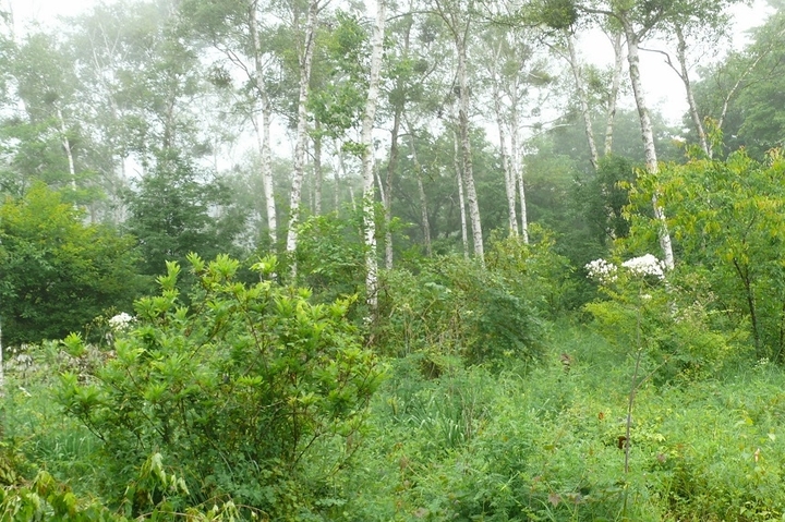 P1430631.JPG