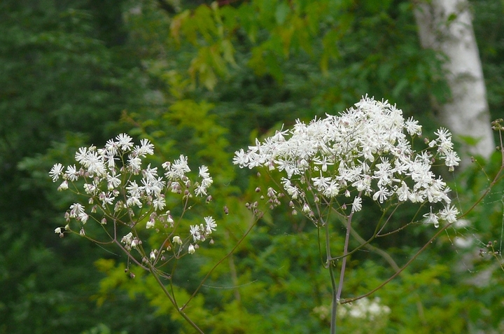 P1430632.JPG